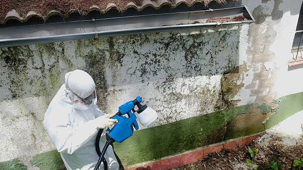 Trusted Mold Remediation service in Lumberton, NJ - Cheap Mold Removal